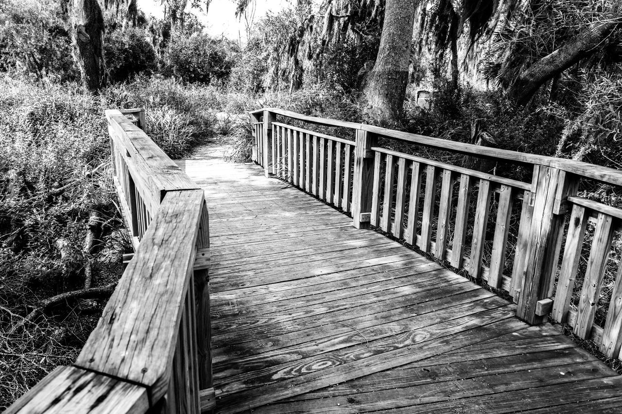 Santa ana wildlife refuge