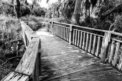 Footbridge amidst trees