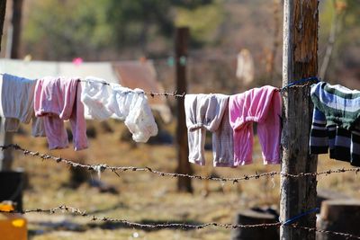 Close-up of clothes drying on clothesline