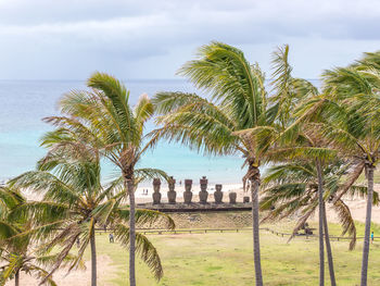 Palm trees by sea against sky