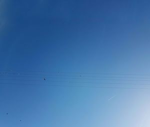Low angle view of birds flying against clear blue sky