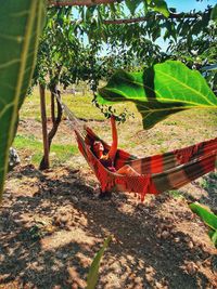 Woman sitting on hammock