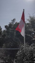 Low angle view of flag against sky