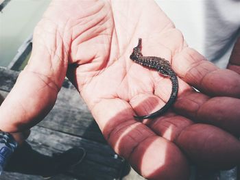 Close-up of cropped hand