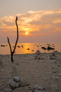 Scenic view of beach against sky during sunset