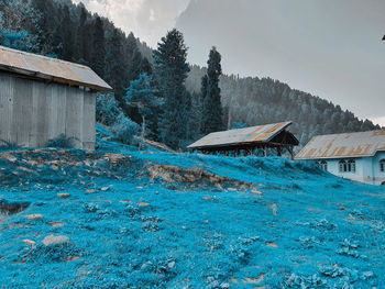 House amidst trees and buildings against sky