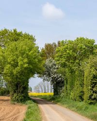 Road amidst trees against sky