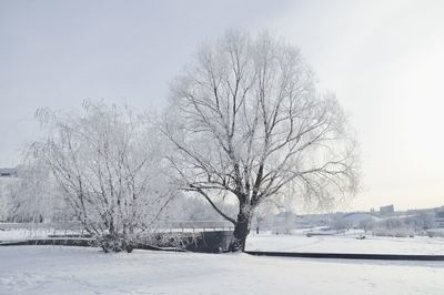 Bare trees on snow covered landscape against sky