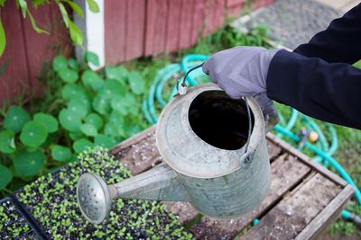 Midsection of person by plants in yard