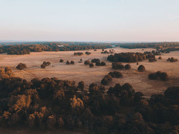 Scenic view of landscape against clear sky