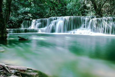 Scenic view of waterfall in forest