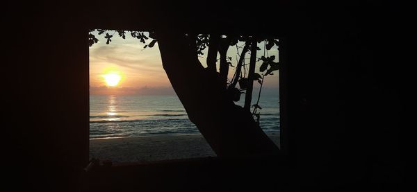 Silhouette tree on beach against sky during sunset