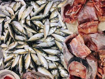 High angle view of fish for sale at market