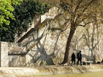 Woman standing on tree trunk