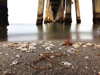 Surface level of pebbles