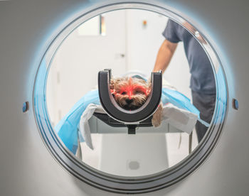 Little dog lying on table ear mri equipment while being scanned in modern veterinary clinic by anonymous veterinarian