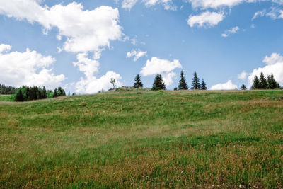 Scenic view of field against sky