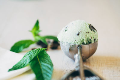 Close-up of peppermint ice cream on serving scoop