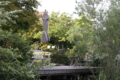 Statue against trees