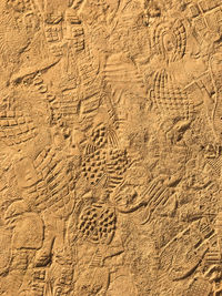 High angle view of footprints on sand