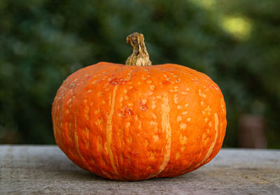 Close-up of orange pumpkins on table