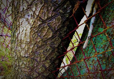 Low angle view of bare trees