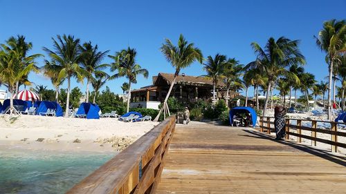 Palm trees on beach against clear blue sky