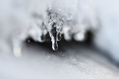 Close-up of ice crystals