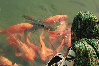 Woman looking at fishes in lake