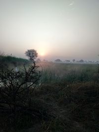 Scenic view of field against sky during sunset