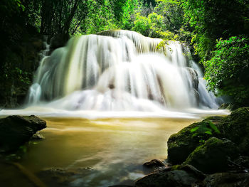 View of waterfall in forest