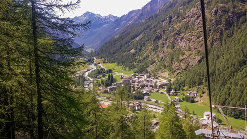 High angle view of trees and buildings in valley, from cable car