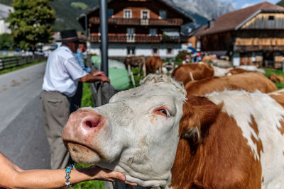 Man feeding outdoors