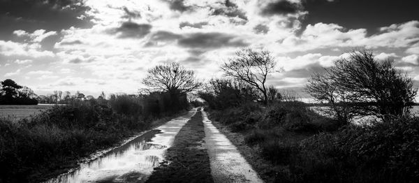 Empty road along plants and trees against sky