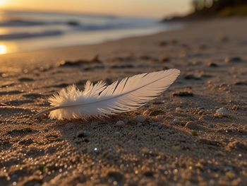 sand