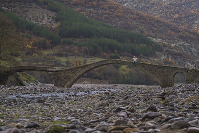 Arch bridge over river amidst trees