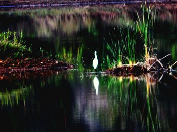 Scenic view of lake