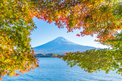 Scenic view of lake by trees during autumn