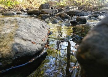 High angle view of rocks in water