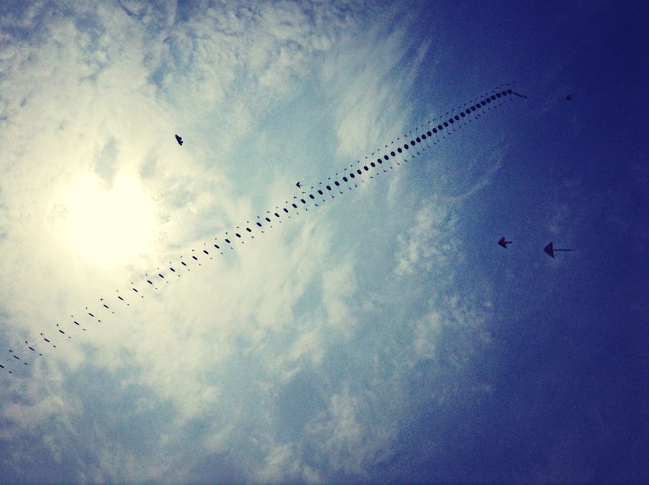 flying, bird, low angle view, animal themes, animals in the wild, sky, wildlife, flock of birds, silhouette, mid-air, cloud - sky, spread wings, nature, blue, beauty in nature, cloud, sun, sunset, outdoors