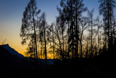 Silhouette trees in forest against sky at sunset