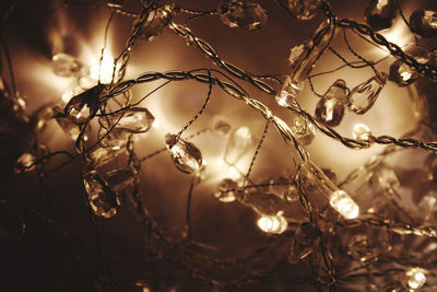 light