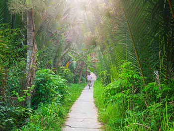 Rear view of woman walking on footpath in forest