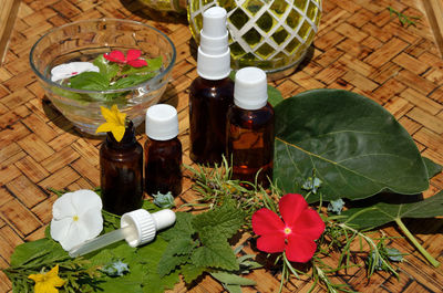 High angle view of potted plants on table