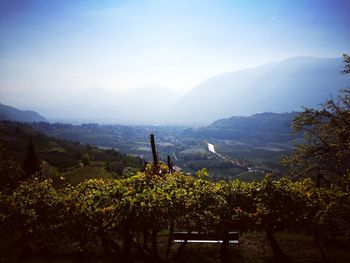Plants and mountains against clear sky