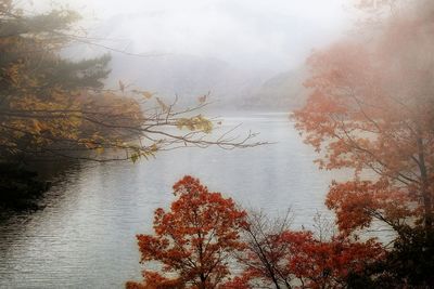 Scenic view of lake against sky during autumn