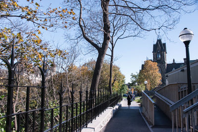 Man walking on street amidst trees in city against sky