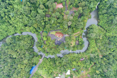 High angle view of trees by lake