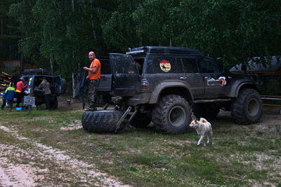 View of dog in car