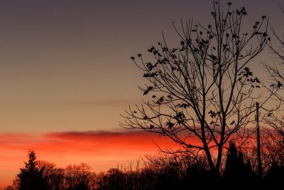 Silhouette bare tree against orange sky